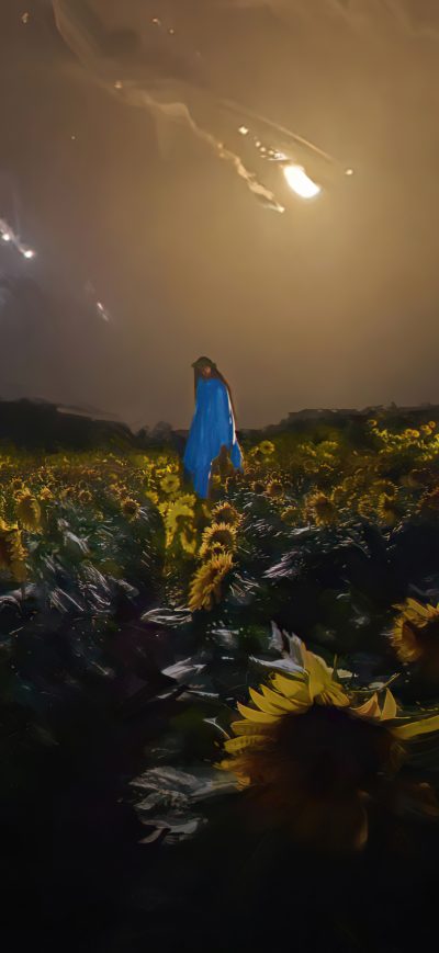 Fond d'écran iPhone Sunflowers Battlefield 4k