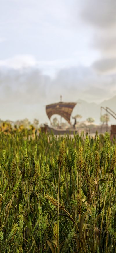 Fond d'écran iPhone 2019 Assassins Creed Origins 8k