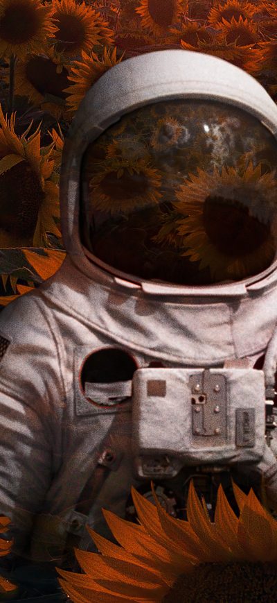 Fond d'écran iPhone Astronaut In Sunflowers Field 4k