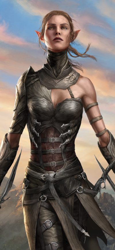 Fond d'écran iPhone Divinity Original Sin 2 Warrior 4k