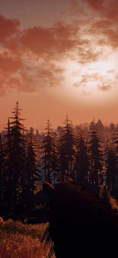 Fond d'écran iPhone Ciri The Witcher 3 Windy Hair 10k
