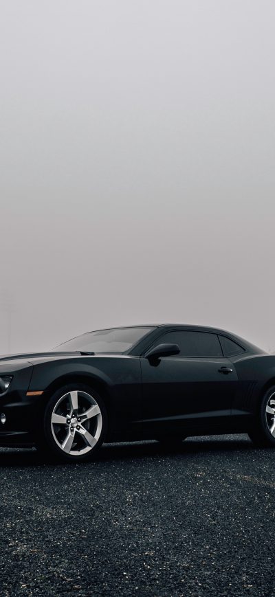 Fond d'écran iPhone Black Camaro