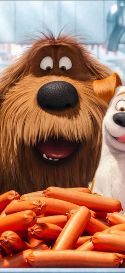 Fond d'écran iPhone The Secrete Life of Pets Animated Movie