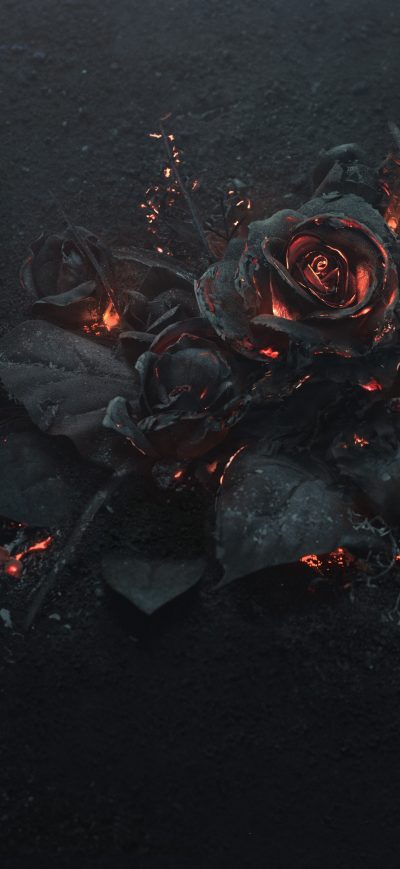 Fond d'écran iPhone Burning Roses 5k