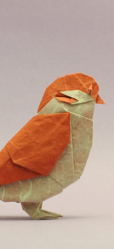 Fond d'écran iPhone Bird Origami
