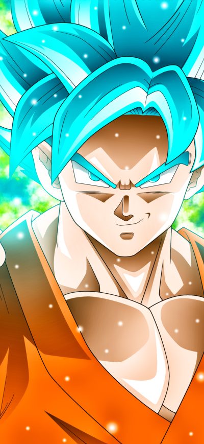 Fond d'écran iPhone Goku Dragon Ball Super
