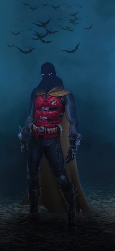 Fond d'écran iPhone The Brave And The Bold Batman And Robin