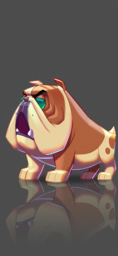 Fond d'écran iPhone Bulldog 5k