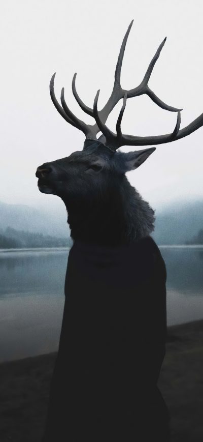 Fond d'écran iPhone Unholy Deer