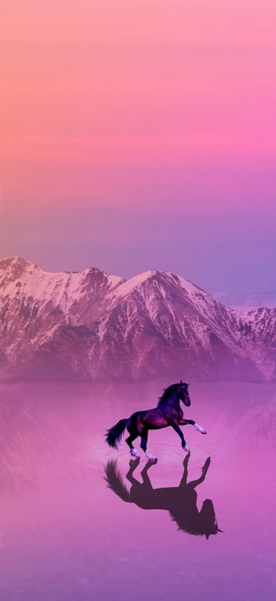 Fond d'écran iPhone Horse Photo Manipulation