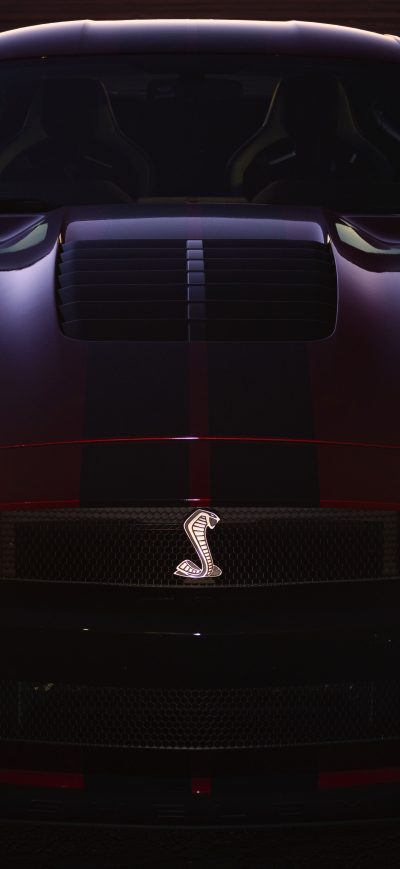 Fond d'écran iPhone 2020 Ford Mustang Shelby GT500 New