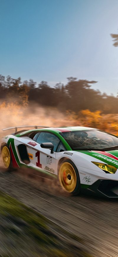 Fond d'écran iPhone Lamborghini Aventador In Rally