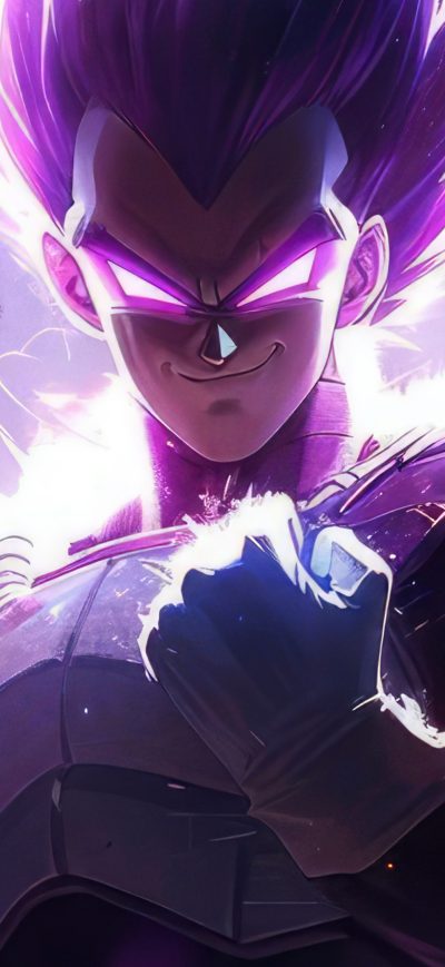 Fond d'écran iPhone Vegeta Ultra Ego