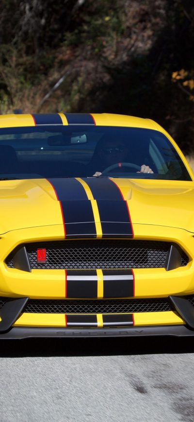 Fond d'écran iPhone Ford Shelby GT350