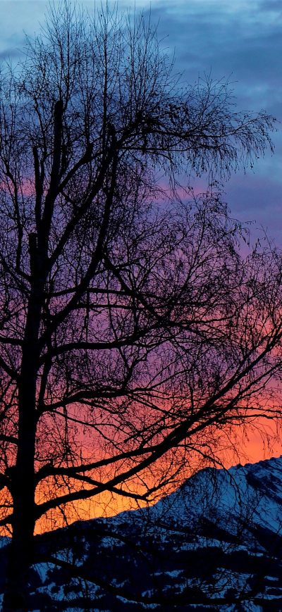 Fond d'écran iPhone Evening Sunrise Morning Beautiful Nature