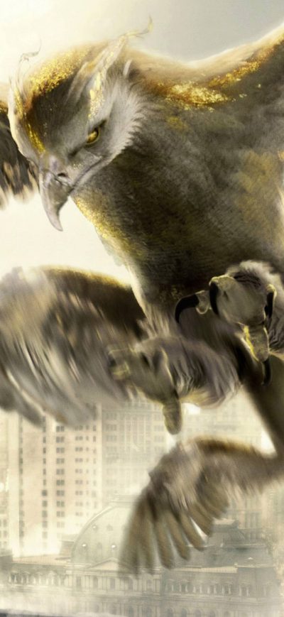Fond d'écran iPhone Thunderbird Fantastic Beasts And Where To Find Them
