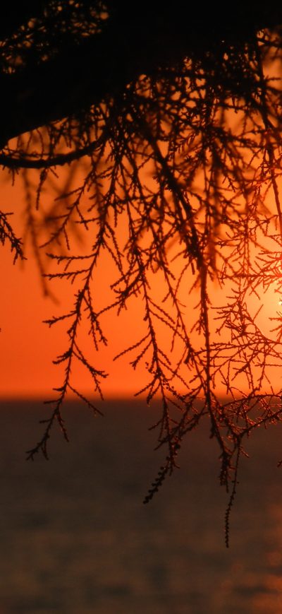 Fond d'écran iPhone Nature Sunset Ocean Lying Sun 4k