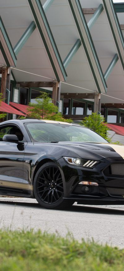 Fond d'écran iPhone 2016 Ford Shelby GT H