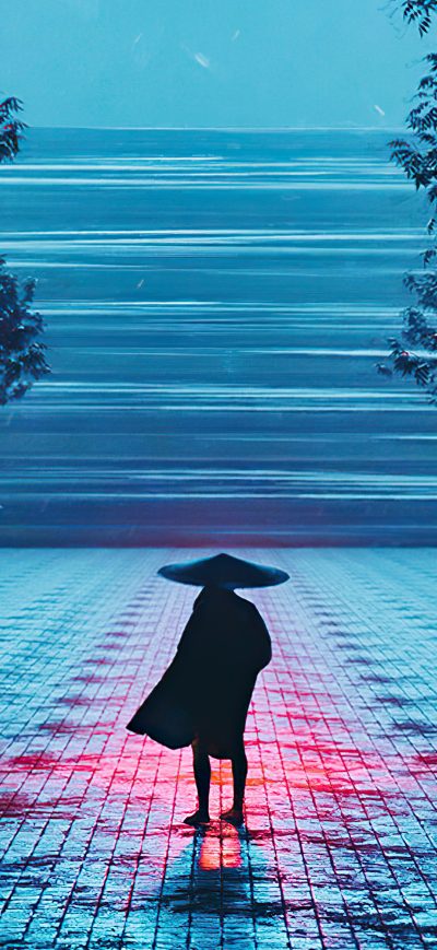 Fond d'écran Wanderer sur iPhone