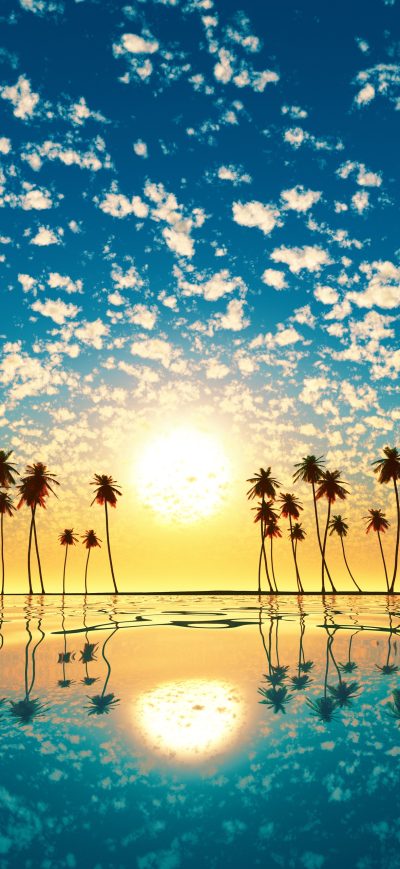 Fond d'écran iPhone Palm Trees Reflection Sunset