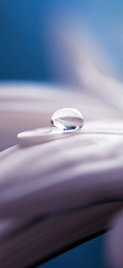 Fond d'écran iPhone Water Drop Flower