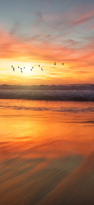 Fond d'écran iPhone Birds Flying Over Beach 4k