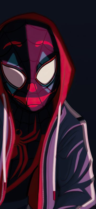 Fond d'écran iPhone Spider Man Hoodie Boy