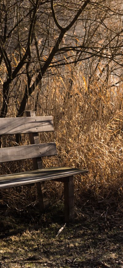 Fond d'écran iPhone Bench Bank Seat 5k