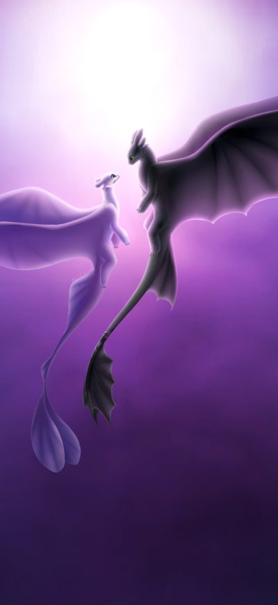 Fond d'écran iPhone Toothless And Light Fury Romantic Love