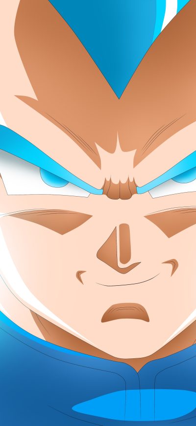 Fond d'écran iPhone Anime Dragon Ball Goku Piccolo