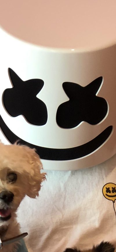 Fond d'écran iPhone Marshmello With Dog
