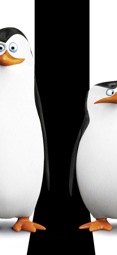 Fond d'écran iPhone Penguins Of Madagascar Movie HD Desktop