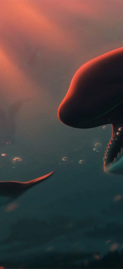 Fond d'écran iPhone Dolphin Bubbles 4k