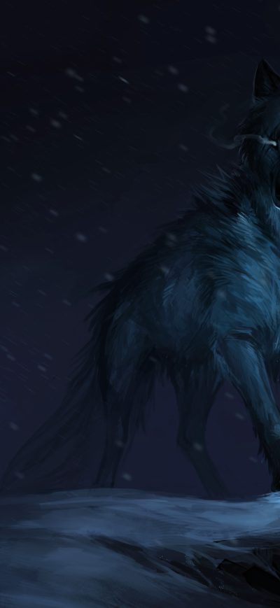Fond d'écran iPhone Wolf Drawing