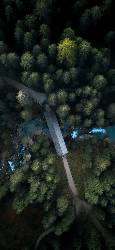 Fond d'écran iPhone Aerial View Forest 4k