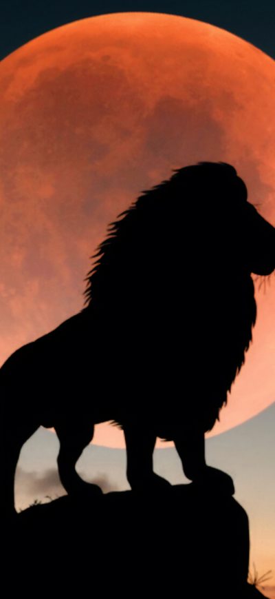 Fond d'écran iPhone Lion King 5k