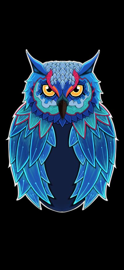 Fond d'écran iPhone Owl Dark 5k