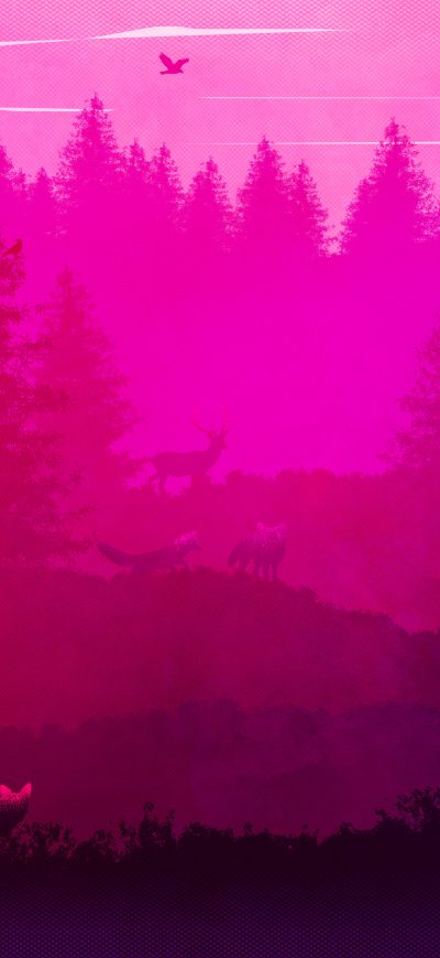 Fond d'écran iPhone Wild Animals Forest Pink Minimalism 5k