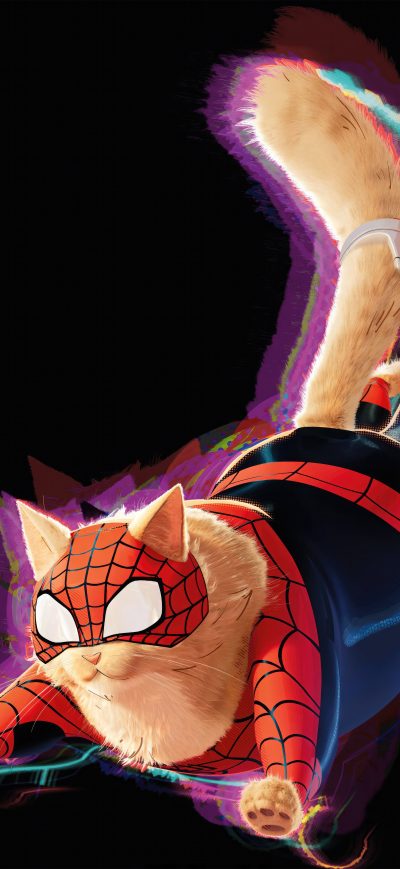 Fond d'écran iPhone Spider Cat In Spiderman Across The Spider Verse 2023 8k