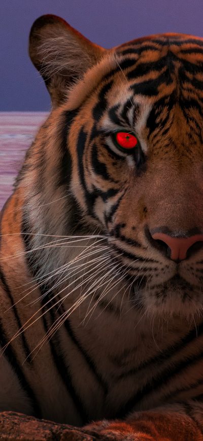 Fond d'écran iPhone Tiger Glowing Red Eyes 5k