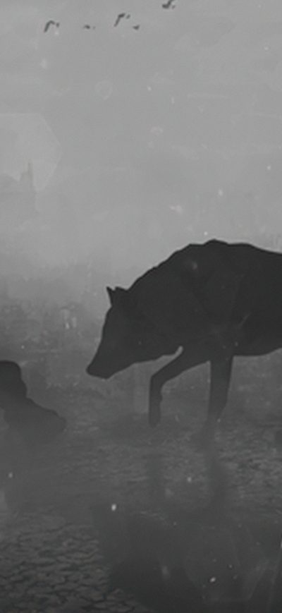 Fond d'écran iPhone The Wolf And The Kid 4k