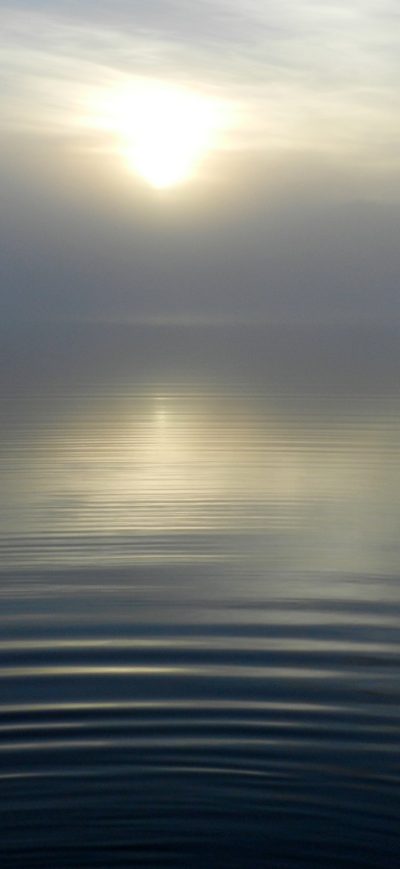 Fond d'écran iPhone Lake Sun Morning Fog Reflection