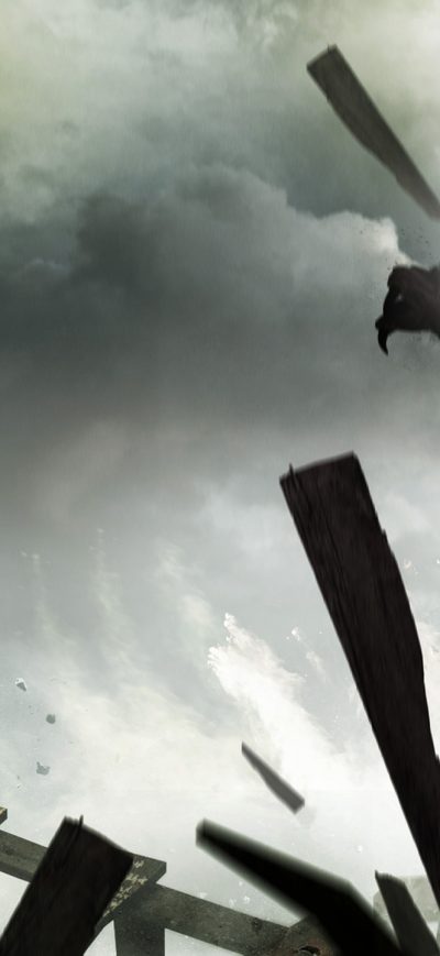 Fond d'écran iPhone Leap The Last Guardian