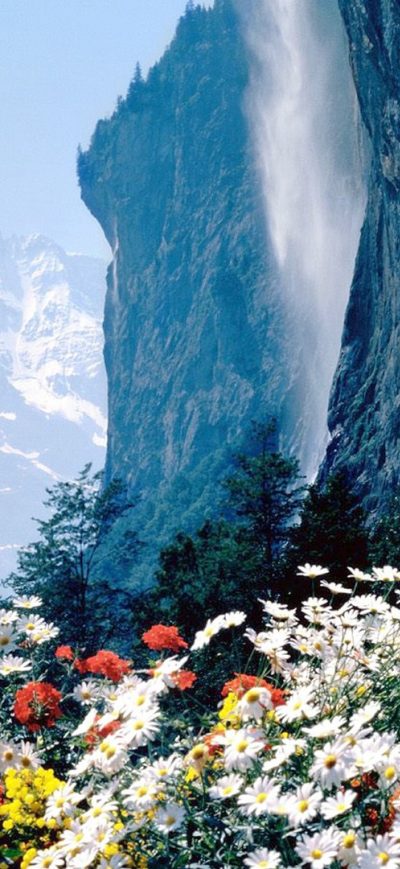Fond d'écran iPhone Flowers Mountains Cliff