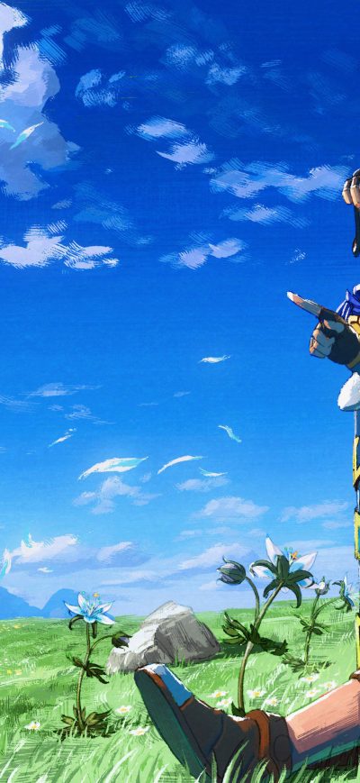 Fond d'écran iPhone 2018 The Legend Of Zelda Breath Of The Wild 4k