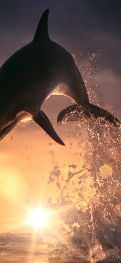Fond d'écran iPhone Dolphin Jump Out Of Ocean