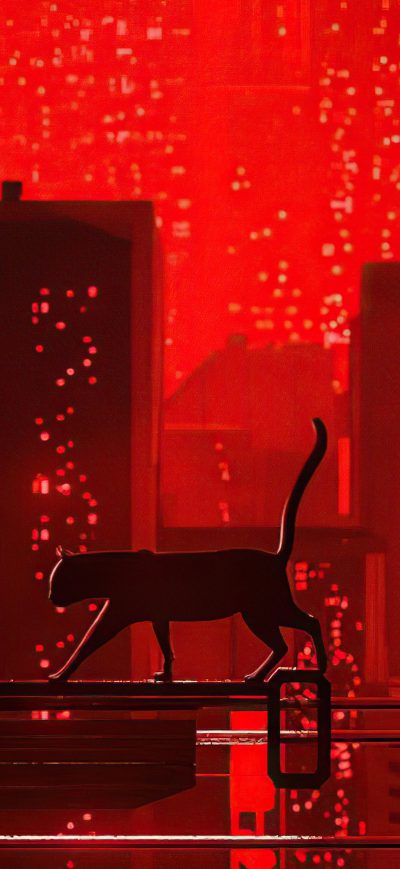Fond d'écran iPhone Cat Walking Red Night 5k