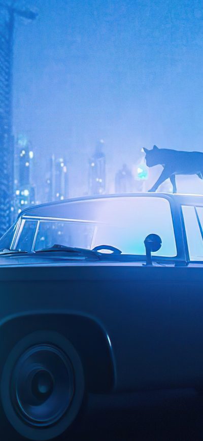 Fond d'écran iPhone Cat Walking On Car Blue Night 5k