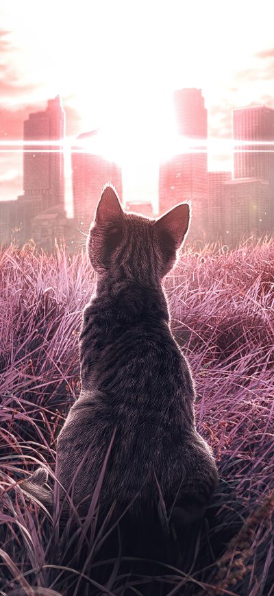 Fond d'écran The Decline Of Humanity 4k sur iPhone