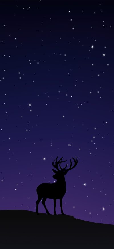 Fond d'écran iPhone Night Sky Deer Minimal 5k